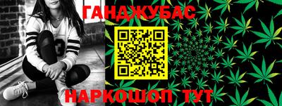 шишки Жуковский
